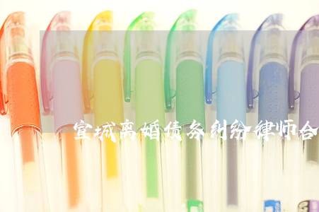 宣城离婚债务纠纷律师(合肥离婚债务纠纷)
