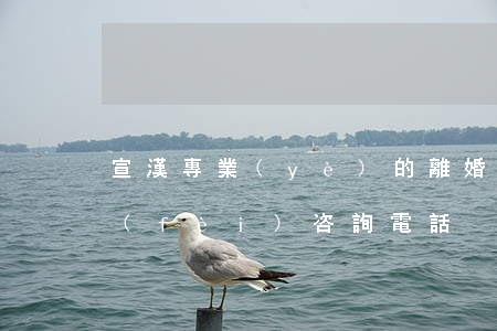 宣漢專業(yè)的離婚律師(宣漢律師免費(fèi)咨詢電話)
