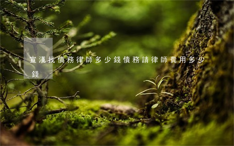 宣漢找債務律師多少錢 債務請律師費用多少錢
