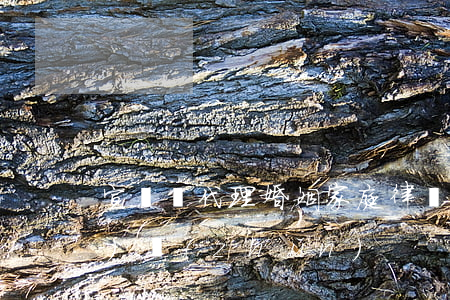 宣漢縣代理婚姻家庭律師收費標(biāo)準(zhǔn)