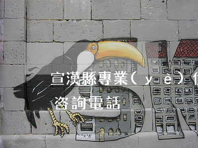 宣漢縣專業(yè)債務律師 宣漢律師免費咨詢電話