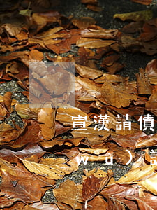 宣漢請債務(wù)訴訟律師(宣漢請債務(wù)訴訟律師費(fèi)多少錢)