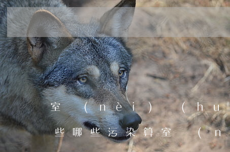 室內(nèi)環(huán)境污染有哪些哪些污染算室內(nèi)環(huán)境污染（甲醛的來源及危害）