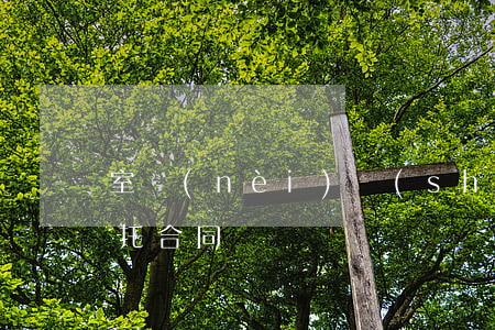 室內(nèi)設(shè)計(jì)委托合同