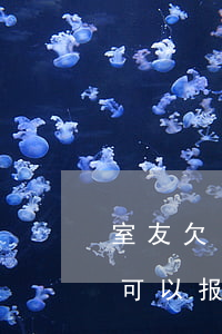 室友欠自己网贷可以报警吗(室友欠自己网贷可以报警吗)