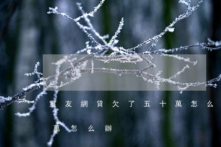 室友網貸欠了五十萬怎么辦(學生網貸欠了5萬怎么辦)