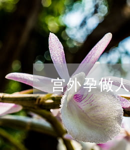宫外孕做人流