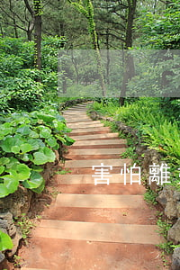 害怕離婚的女人會偷人嗎(女人離婚可怕嗎)