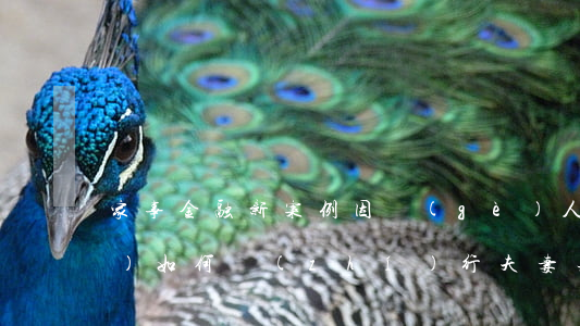 家事金融新案例：因個(gè)人債務(wù)如何執(zhí)行夫妻共同房產(chǎn)