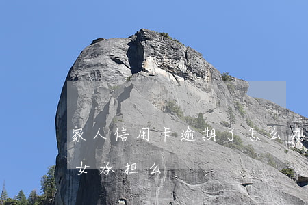家人信用卡逾期了怎么办(家人欠的信用卡,子女承担么)