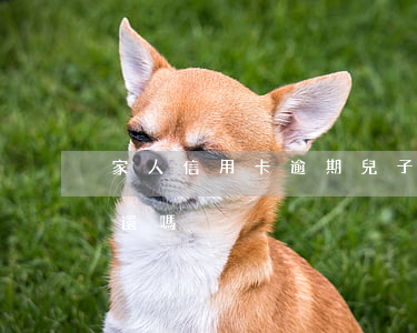 家人信用卡逾期兒子還 兒子欠信用卡父母要還嗎