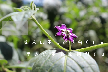 家人信用卡逾期會(huì)影響我出行(家里人信用卡逾期對(duì)父母姐妹有影響嗎)