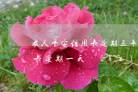 家人平安信用卡逾期三年了(平安銀行的信用卡逾期一天會(huì)有不良記錄嗎)