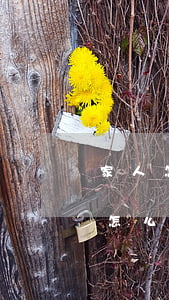 家人怎么幫忙處理信用卡逾期(信用卡 逾期了怎么辦)