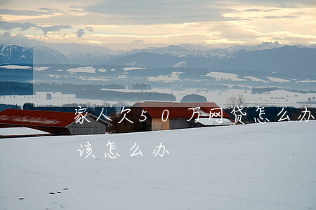 家人欠50万网贷怎么办(欠了网贷50万我该怎么办)