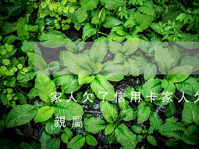 家人欠了信用卡(家人欠了信用卡,催收公司找親屬)