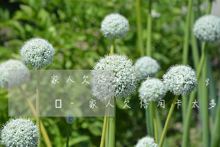 家人欠信用卡太多錢(qián)我該怎么辦-家人欠信用卡太多錢(qián)我該怎么辦呢