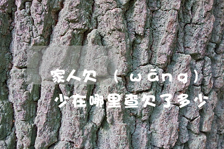 家人欠網(wǎng)貸去哪里可以查欠多少(在哪里查欠了多少網(wǎng)貸)
