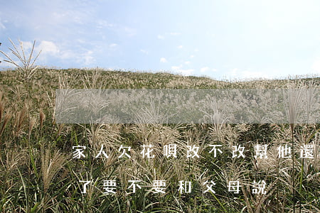 家人欠花唄改不改幫他還(如果欠花唄還不起了要不要和父母說)