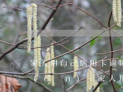 家人用自己信用卡逾期債務(wù)誰承擔(dān)-家人用自己信用卡逾期債務(wù)誰承擔(dān)責(zé)任