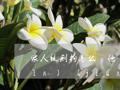 家人被刑拘怎么幫他還信用卡-老公進(jìn)監(jiān)獄了欠信用卡怎么辦