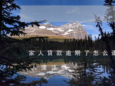 家人貸款逾期了怎么還款(貸款逾期后聯系家人違法嗎)