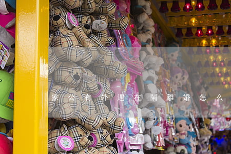 家公有外遇在鬧離婚怎么辦