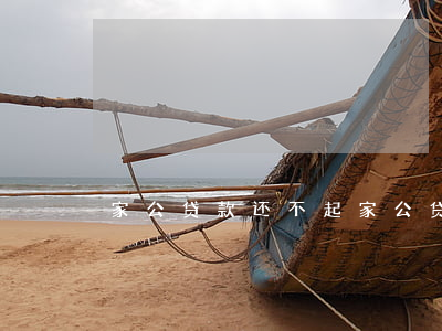 家公贷款还不起(家公贷款还不起会怎么样)
