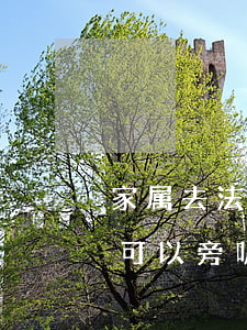 家属去法院旁听可以穿裙子吗(法院开庭家属可以旁听吗)