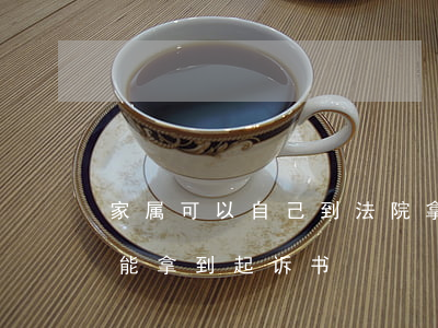 家属可以自己到法院拿起诉书吗(家属去哪里能拿到起诉书)