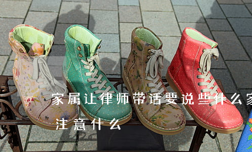 家属让律师带话要说些什么(家属和律师谈话注意什么)