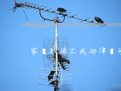 家屬取保不成功律師可以嗎