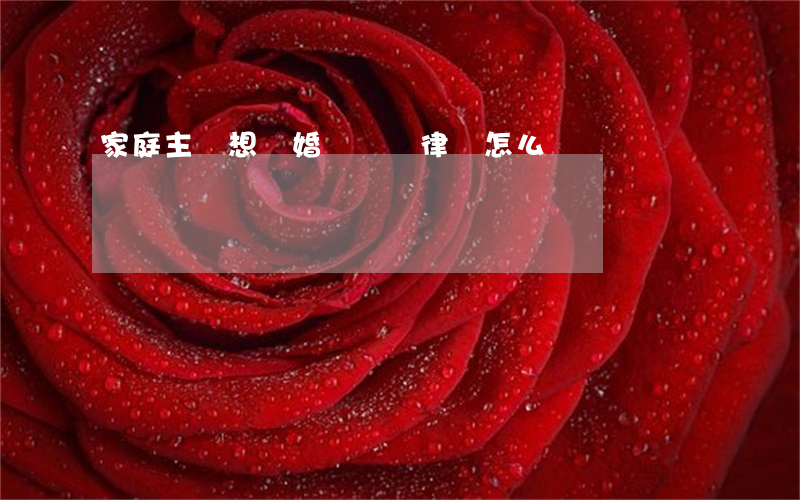 家庭主婦想離婚沒錢請律師怎么辦