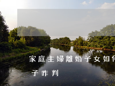 家庭主婦離婚子女如何分割(家庭主婦離婚孩子咋判)