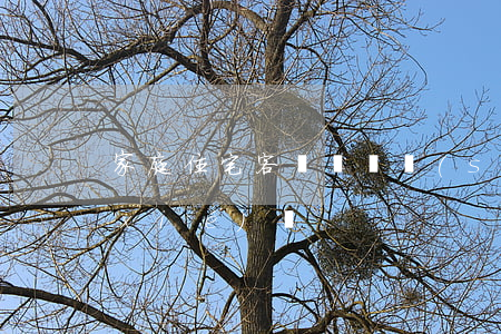 家庭住宅客戶寬帶設(shè)備借用協(xié)議
