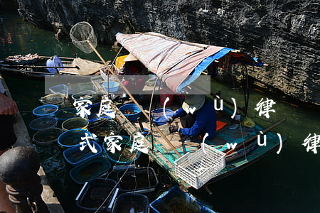家庭債務(wù)律師聯(lián)系方式(家庭債務(wù)律師聯(lián)系方式怎么寫)
