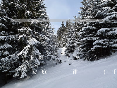 家庭債務(wù)糾紛律師價(jià)格(家庭糾紛律師費(fèi)用收取標(biāo)準(zhǔn))