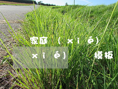 家庭協(xié)議書怎么寫模板(家庭協(xié)議書模板 雙方)