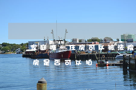 家庭唯一住房可以被法院拍賣嗎(法院唯一住房是否可以拍賣)