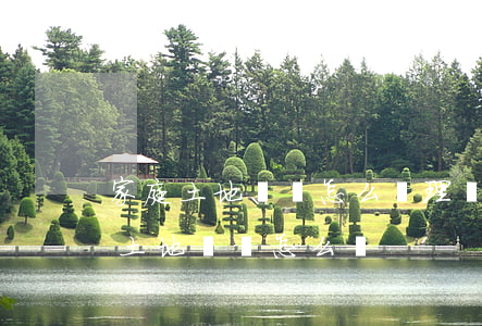 家庭土地糾紛怎么處理(農(nóng)村的土地糾紛怎么辦)