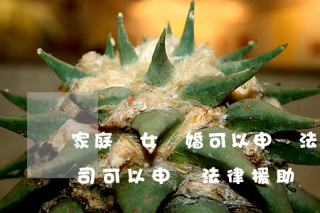 家庭婦女離婚可以申請法律援助吧(打離婚官司可以申請法律援助嗎)