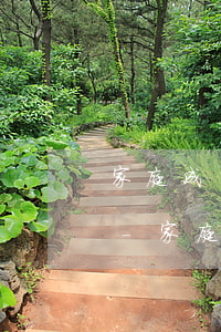 家庭成員逾期會(huì)影響自己征信嗎-家庭成員逾期會(huì)影響自己征信嗎知乎