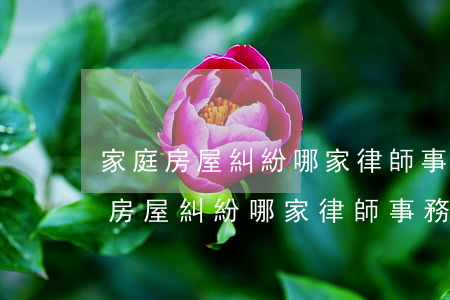 家庭房屋糾紛哪家律師事務(wù)所(家庭房屋糾紛哪家律師事務(wù)所)