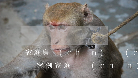 家庭房產(chǎn)遺產(chǎn)糾紛案例(家庭遺產(chǎn)糾紛真實(shí)案例)