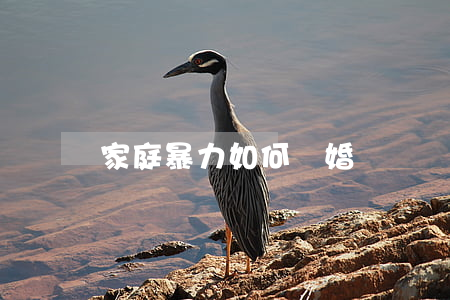 家庭暴力如何離婚