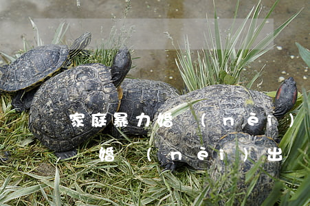 家庭暴力婚內(nèi)出軌起訴可以離婚嗎(婚內(nèi)出軌家暴法律怎么處理)