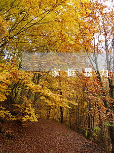 家庭暴力怎么辦(家庭暴力怎么辦?)