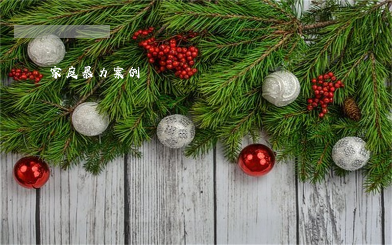家庭暴力案例