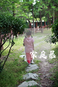 家庭暴力离婚财产分割