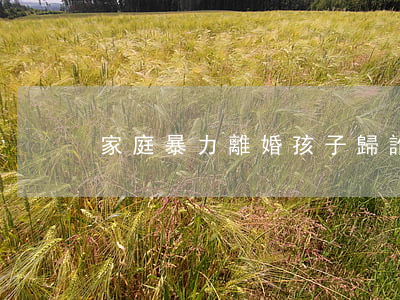 家庭暴力離婚孩子歸誰